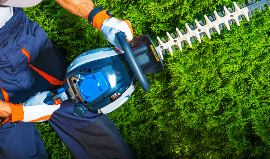 Bush Trimming